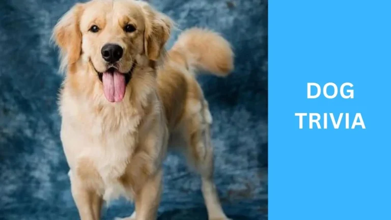 dog trivia